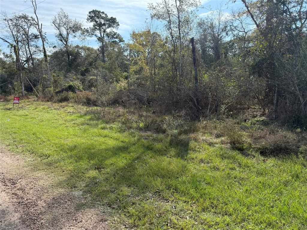 Lot 2 Block 51, Hempstead, Texas image 6