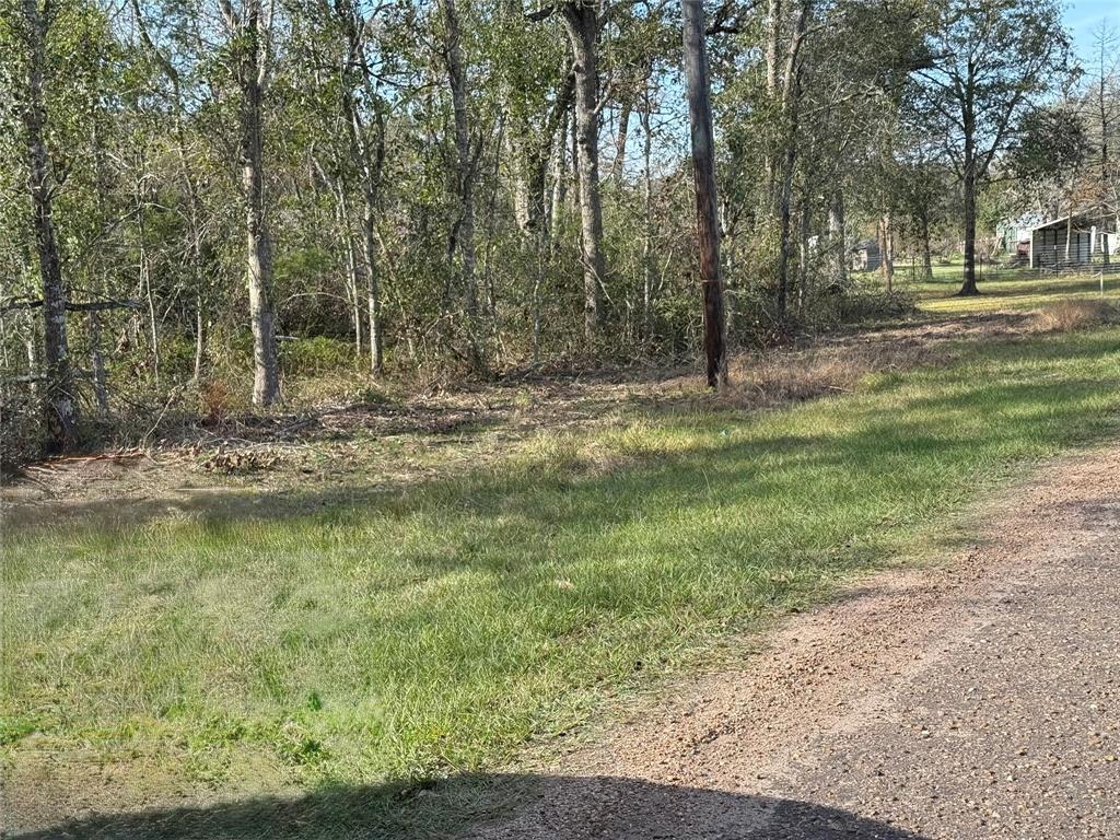 Lot 2 Block 51, Hempstead, Texas image 7