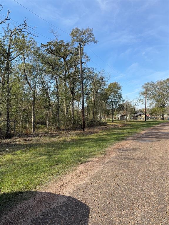 Lot 2 Block 51, Hempstead, Texas image 8