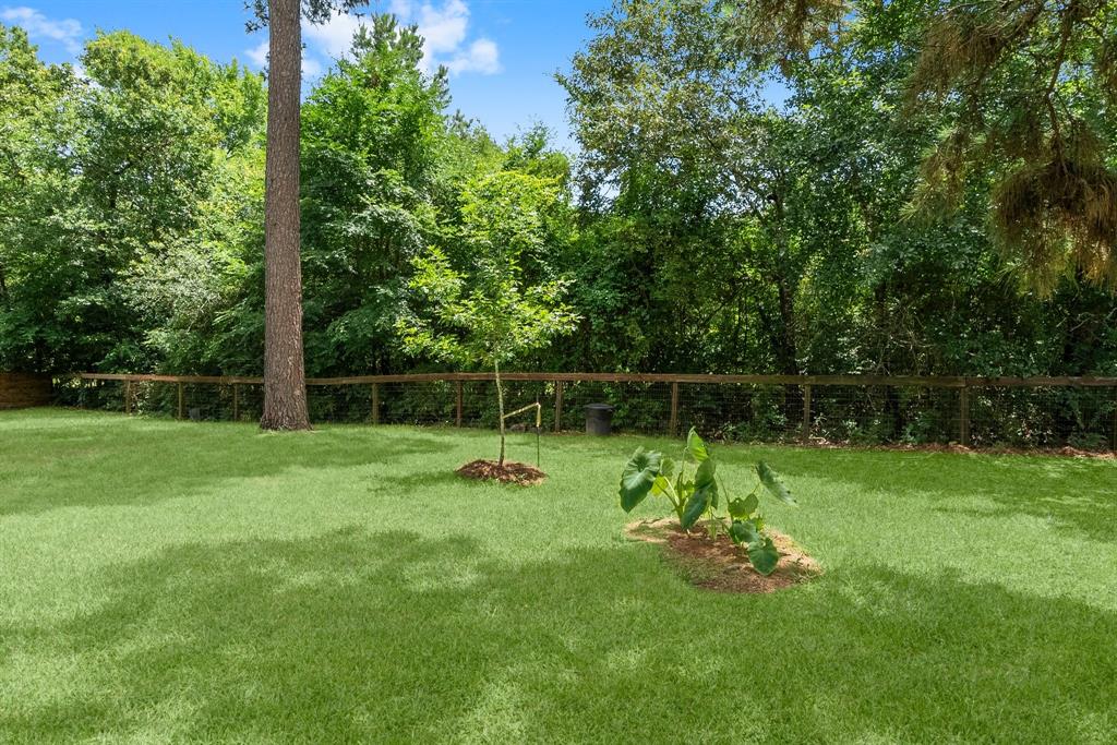 27017 Del Rio Trail, Magnolia, Texas image 29