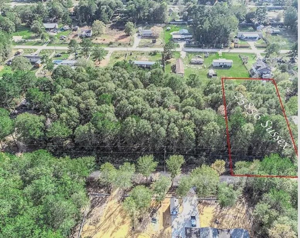 Photo of 25856 Sussex, New Caney, TX 77357 (MLS # 61585774)