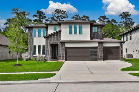 14112 Redfish Lake Court Conroe TX 77384