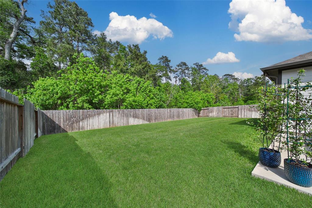 14112 Redfish Lake Court, Conroe, Texas image 47