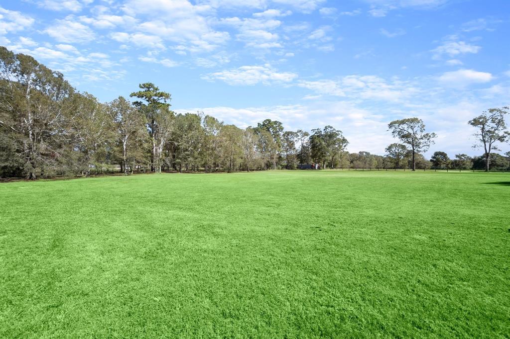 28097 Seven Sisters Road, New Caney, Texas image 33