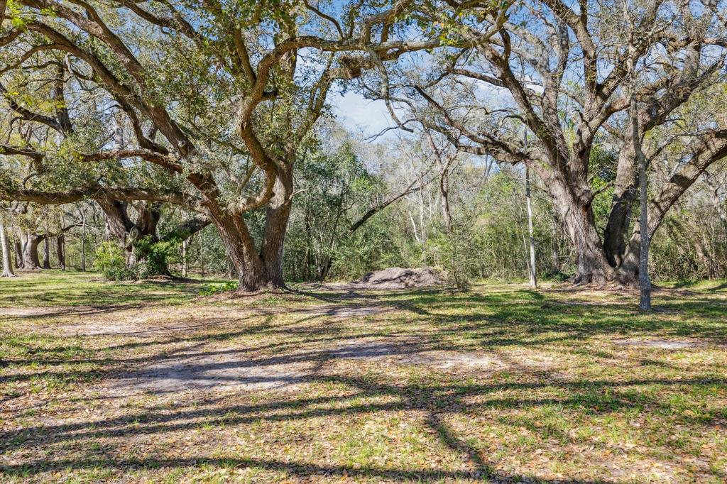 9506 Uzzell Road, Manvel, Texas image 31