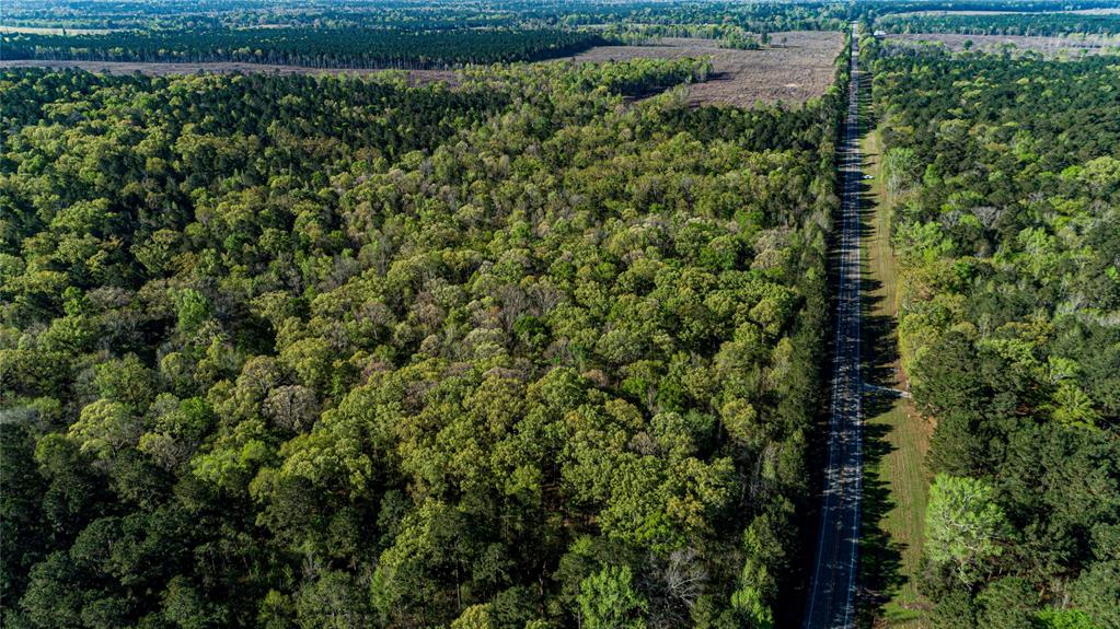 000 Hwy 49, Jefferson, Texas image 15