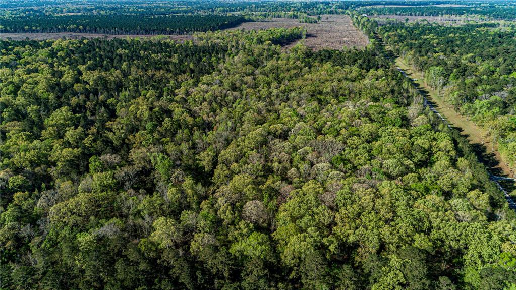 000 Hwy 49, Jefferson, Texas image 18