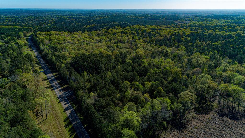 000 Hwy 49, Jefferson, Texas image 35