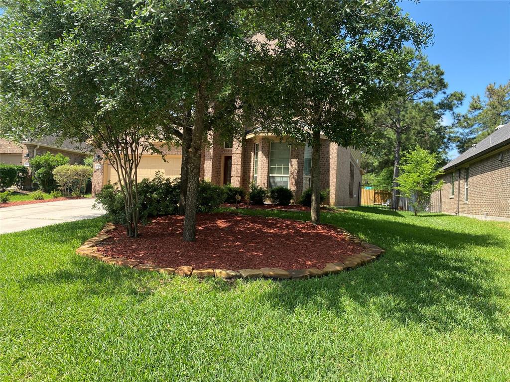 15 S Marshside Place, Spring, Texas image 4