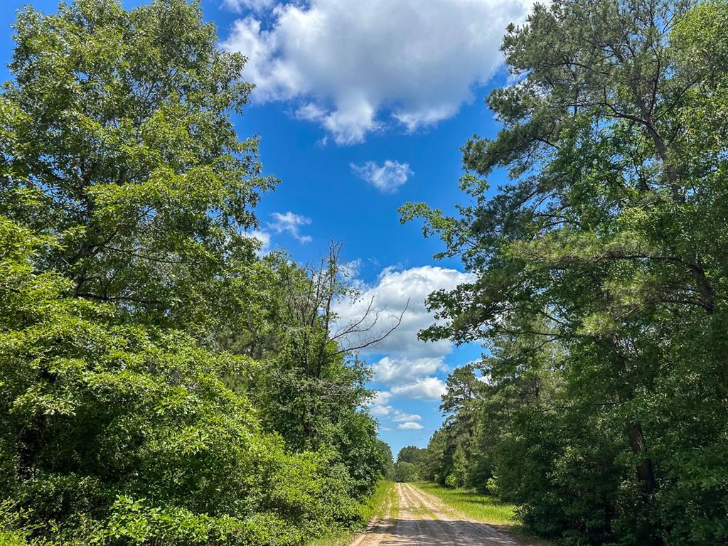 48 Easement Access