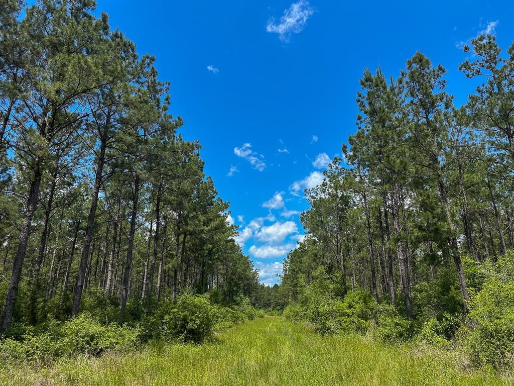 48 Easement Access