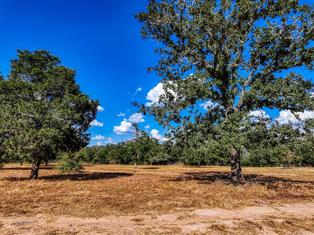 120 Feder Way, West Point, Texas image 9