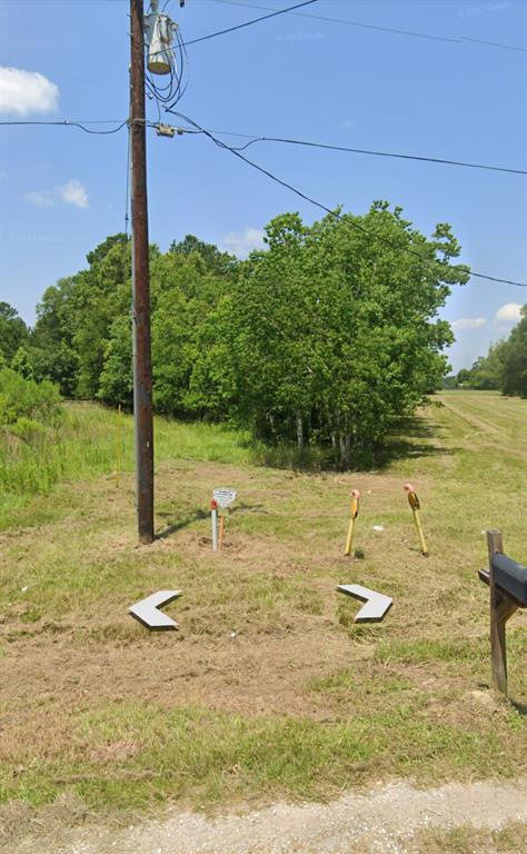 Pink Taylor Run Road, Kendleton, Texas image 2