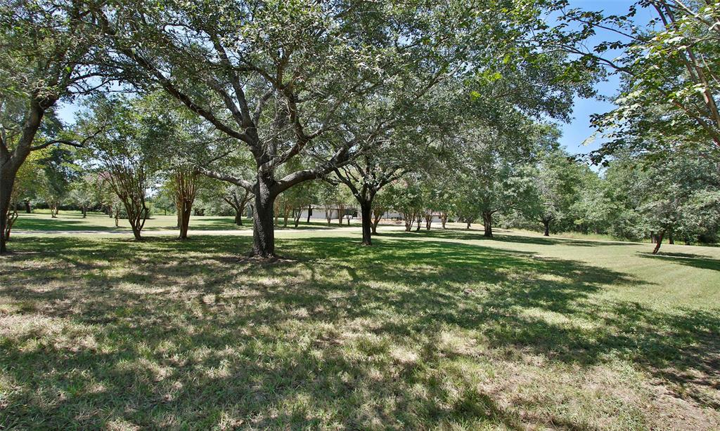 3706 County Road 409, Navasota, Texas image 34