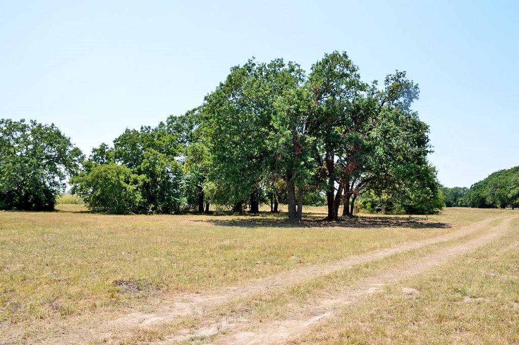 TBD 155 Fm 1227, Navasota, Texas image 1