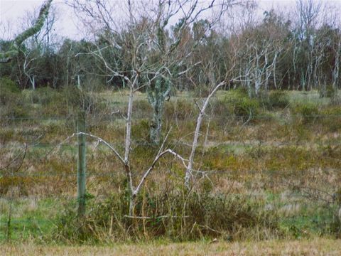 Photo of 0 Fm-2004, Angleton, TX 77515 (MLS # 82880106) Photo of 0 Fm-2004, Angleton, TX 77515 (MLS # 82880106)