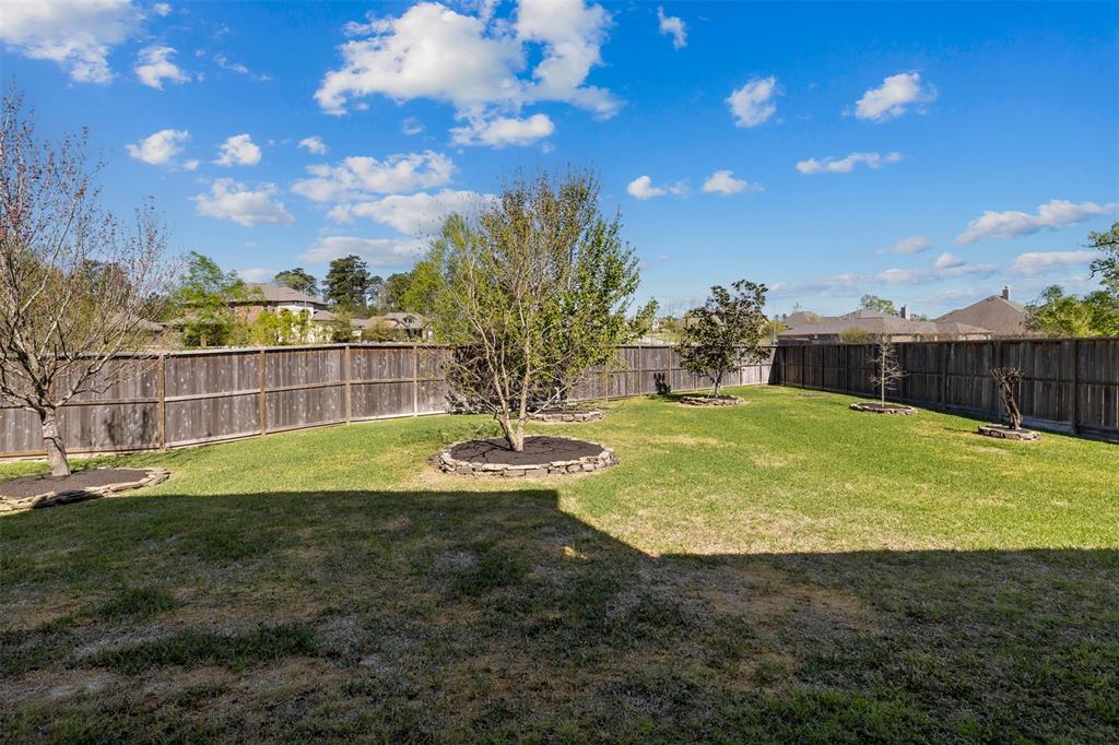 12606 Mostyn Court, Magnolia, Texas image 38