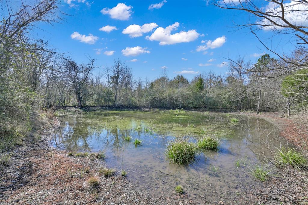 8536 County Road 233, Bedias, Texas image 18