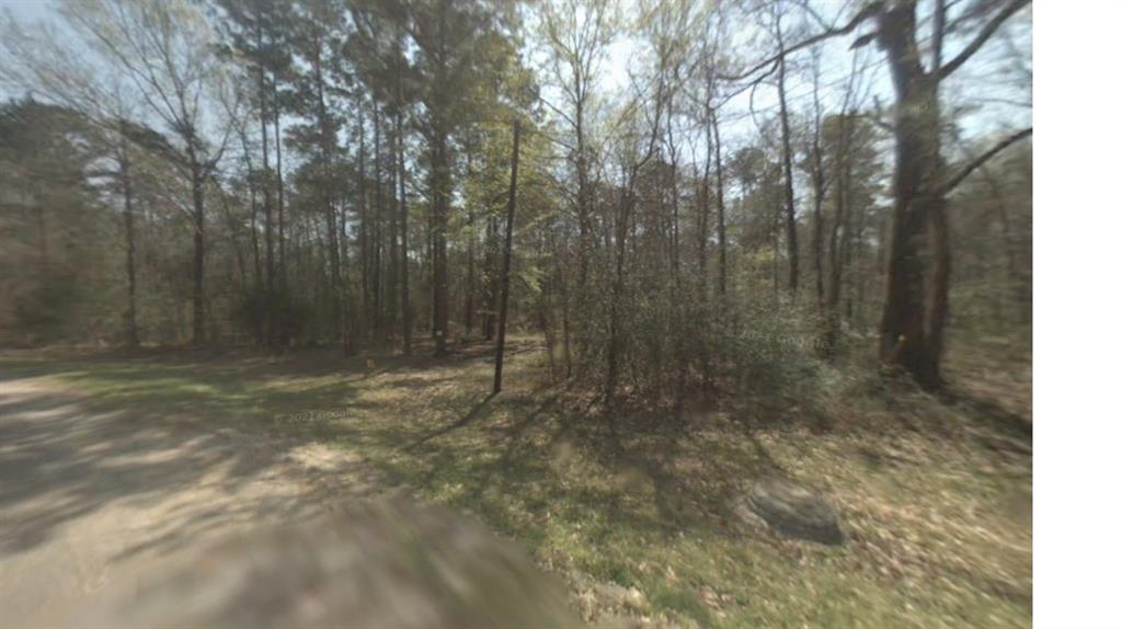 260 Forester, Livingston, Texas image 1
