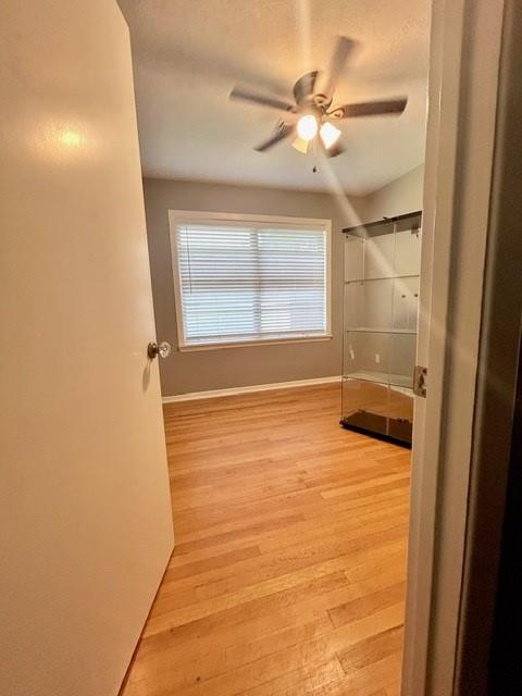 2118 Cherry Street Lane, Pasadena, Texas image 8