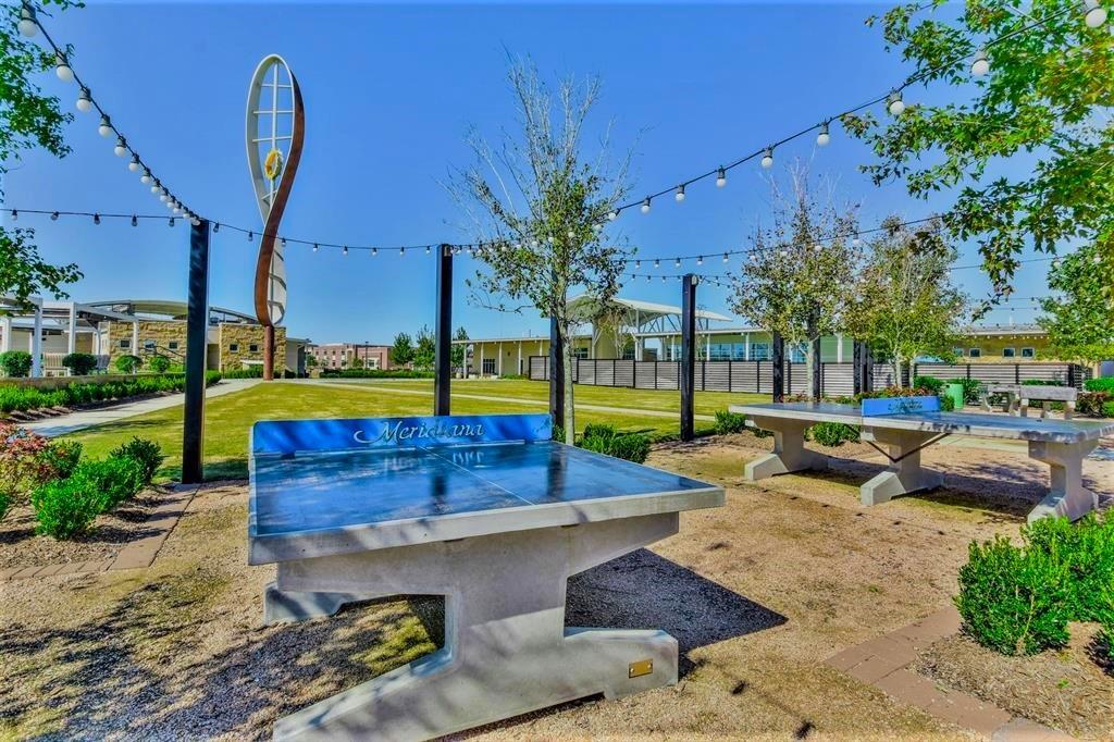 3422 Lake Court, Iowa Colony, Texas image 28