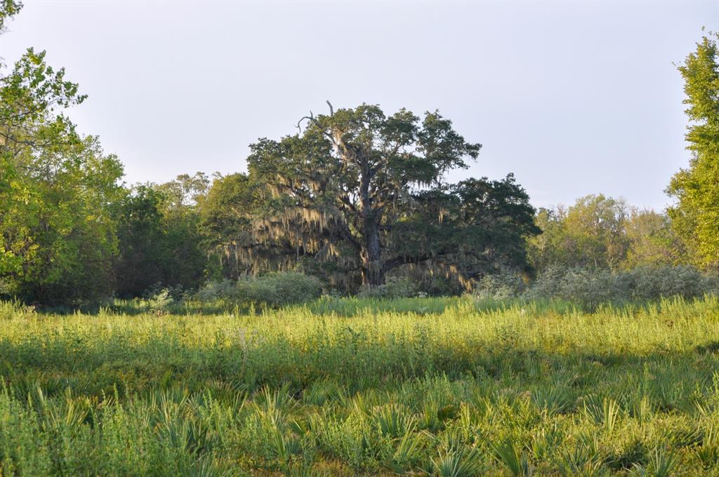 4261 County Road 506, Brazoria, Texas image 11