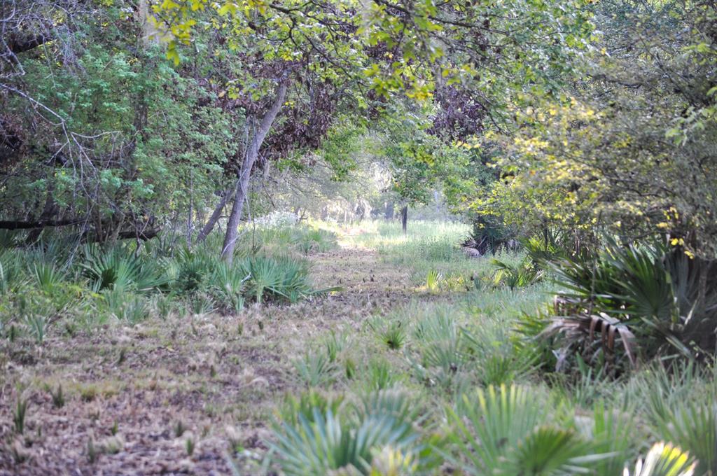 4261 County Road 506, Brazoria, Texas image 9