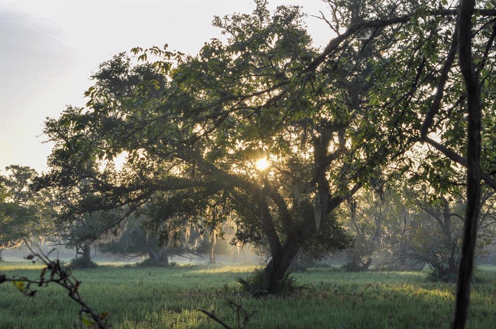 4261 County Road 506, Brazoria, Texas image 14