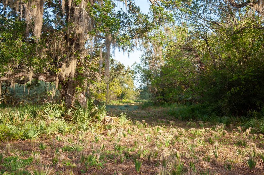 4261 County Road 506, Brazoria, Texas image 12