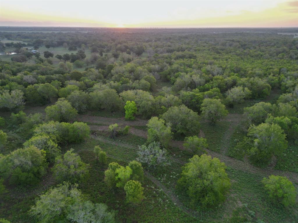 4261 County Road 506, Brazoria, Texas image 6