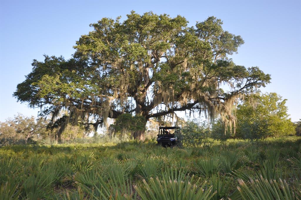 4261 County Road 506, Brazoria, Texas image 15