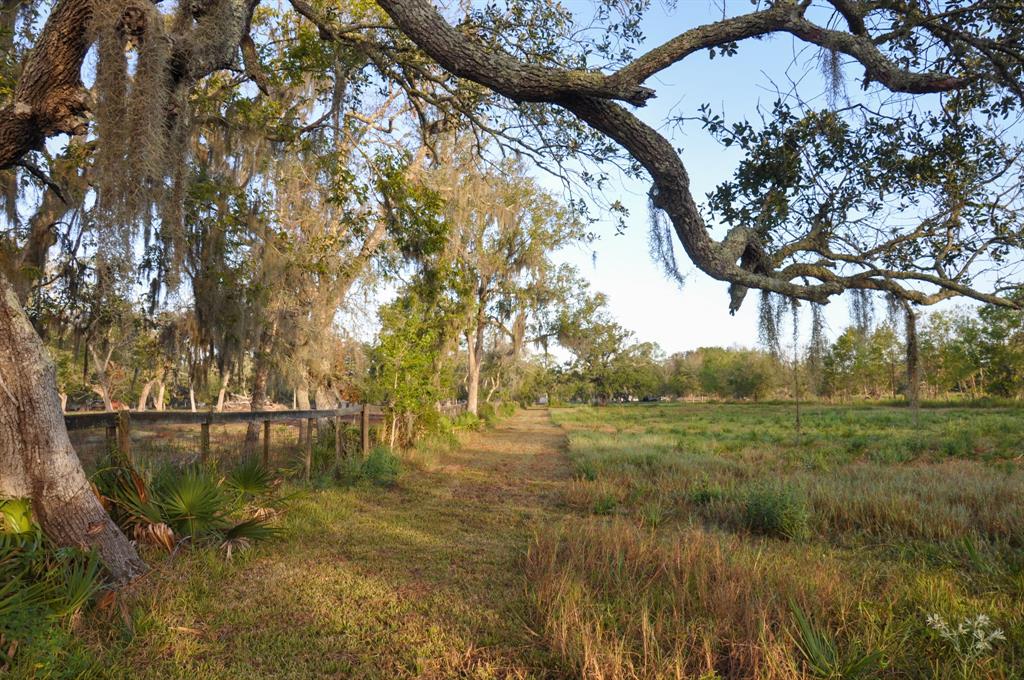 4261 County Road 506, Brazoria, Texas image 13