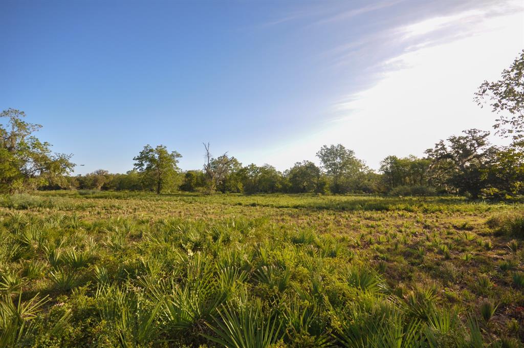 4261 County Road 506, Brazoria, Texas image 8