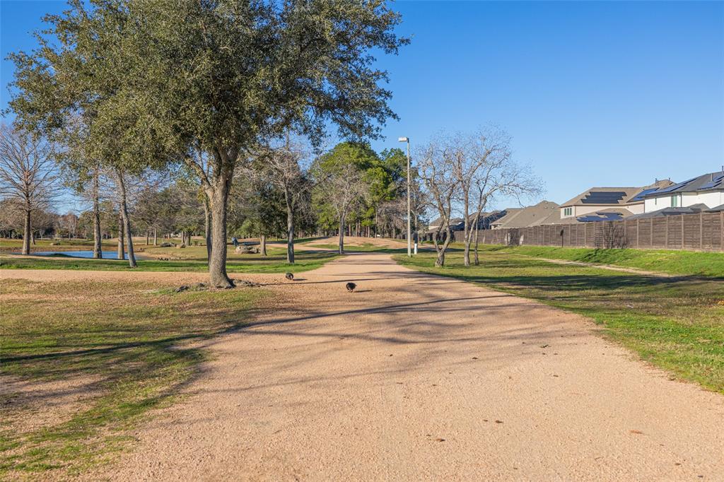 6819 Lilac Vine Lane, Katy, Texas image 10