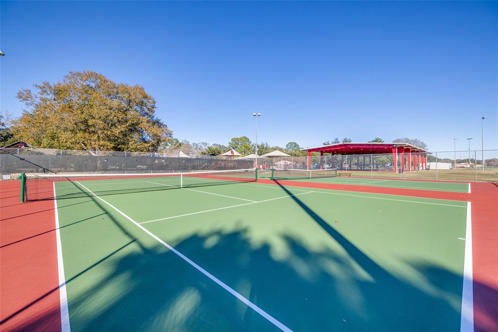 6819 Lilac Vine Lane, Katy, Texas image 9