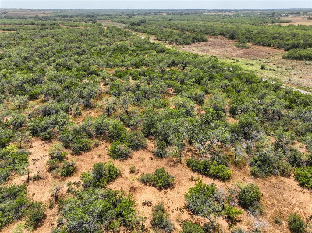 Lot 14 Cr 124 Road, Floresville, Texas image 9