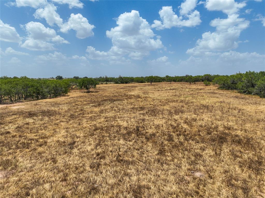 Lot 14 Cr 124 Road, Floresville, Texas image 7