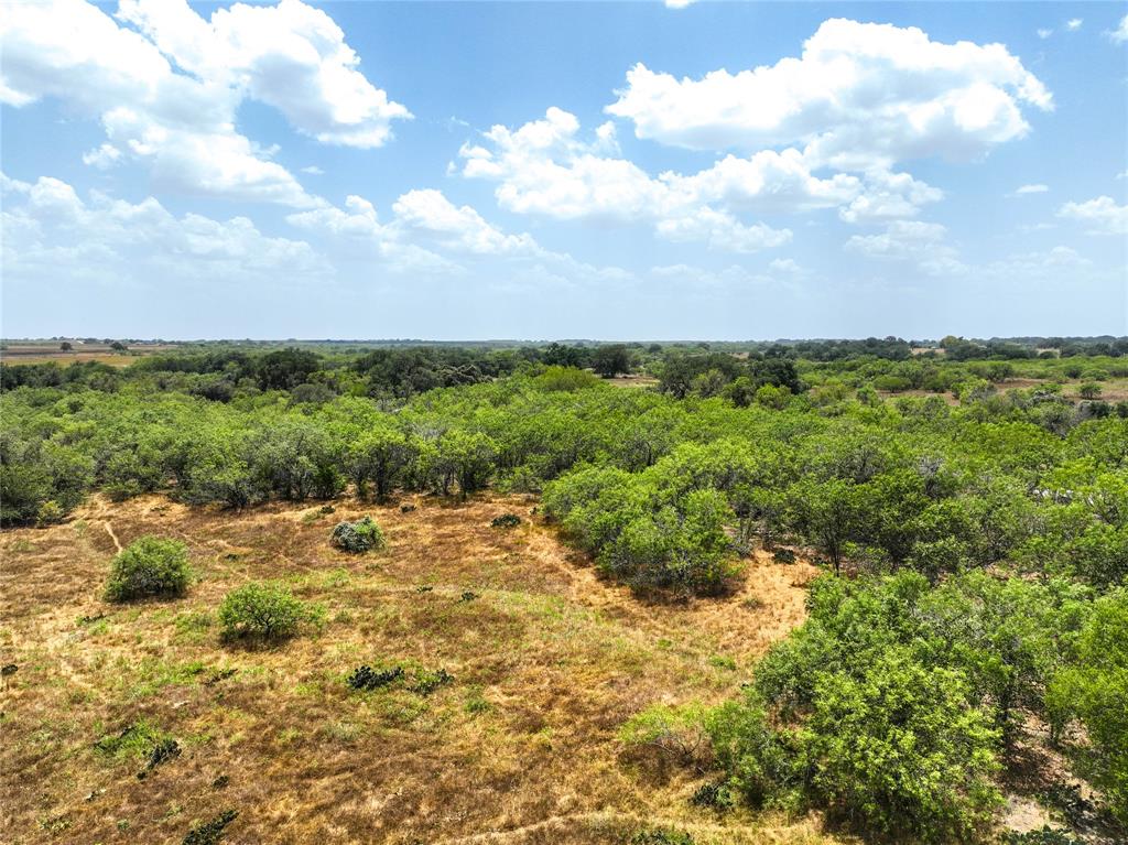 Lot 14 CR 124 Road