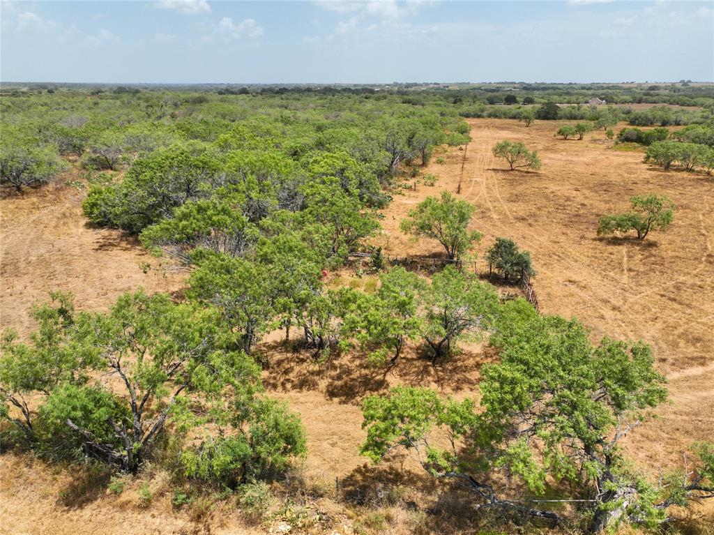 Lot 14 Cr 124 Road, Floresville, Texas image 10