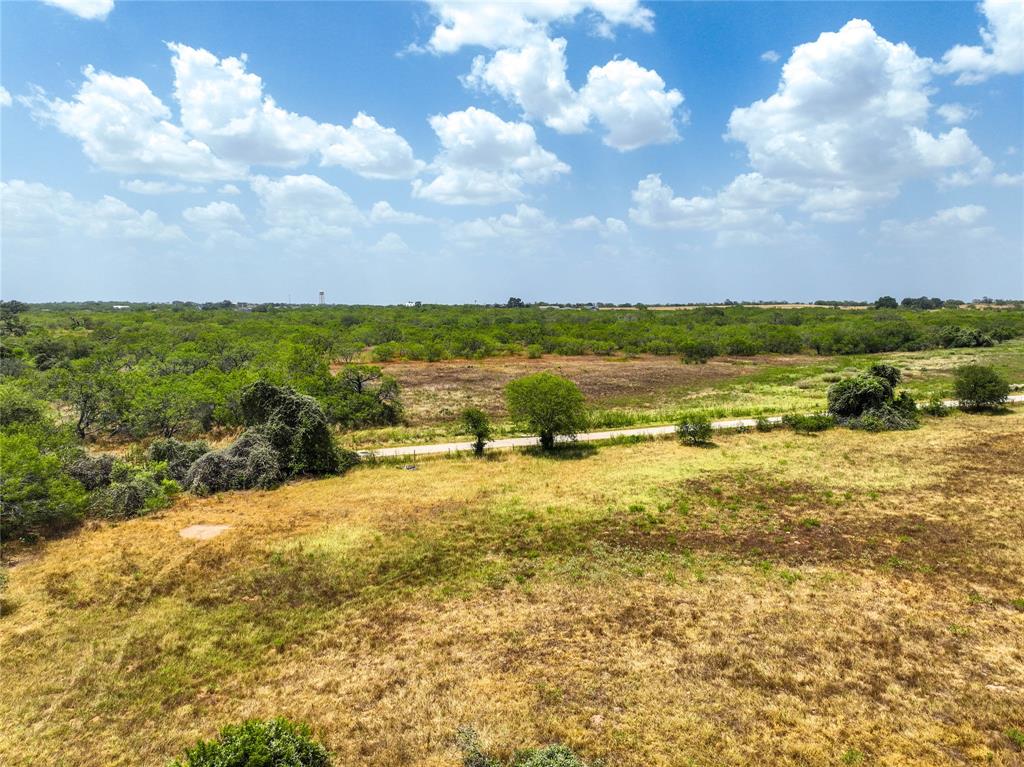 Lot 14 Cr 124 Road, Floresville, Texas image 6