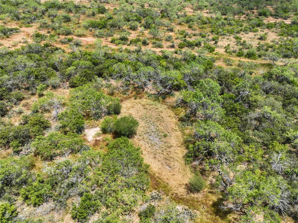 Lot 14 Cr 124 Road, Floresville, Texas image 8