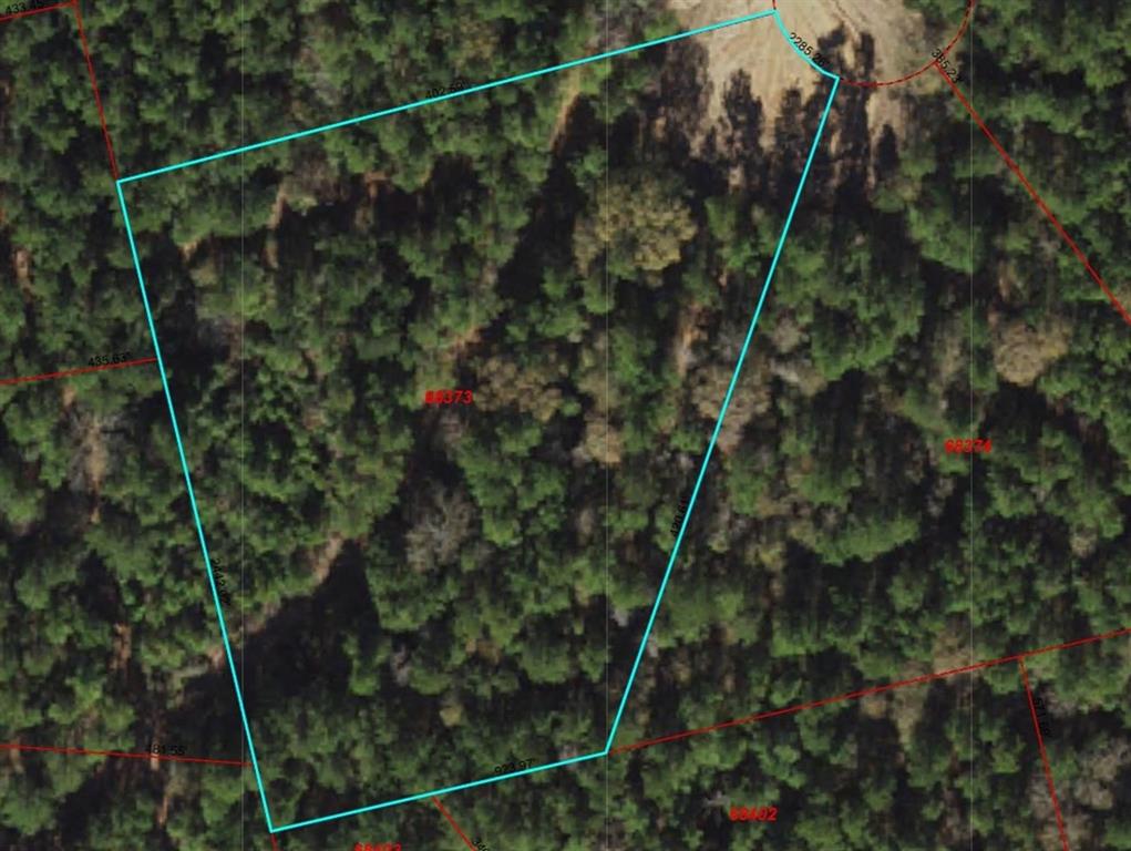 1 Fluorite Court, Huntsville, Texas image 10