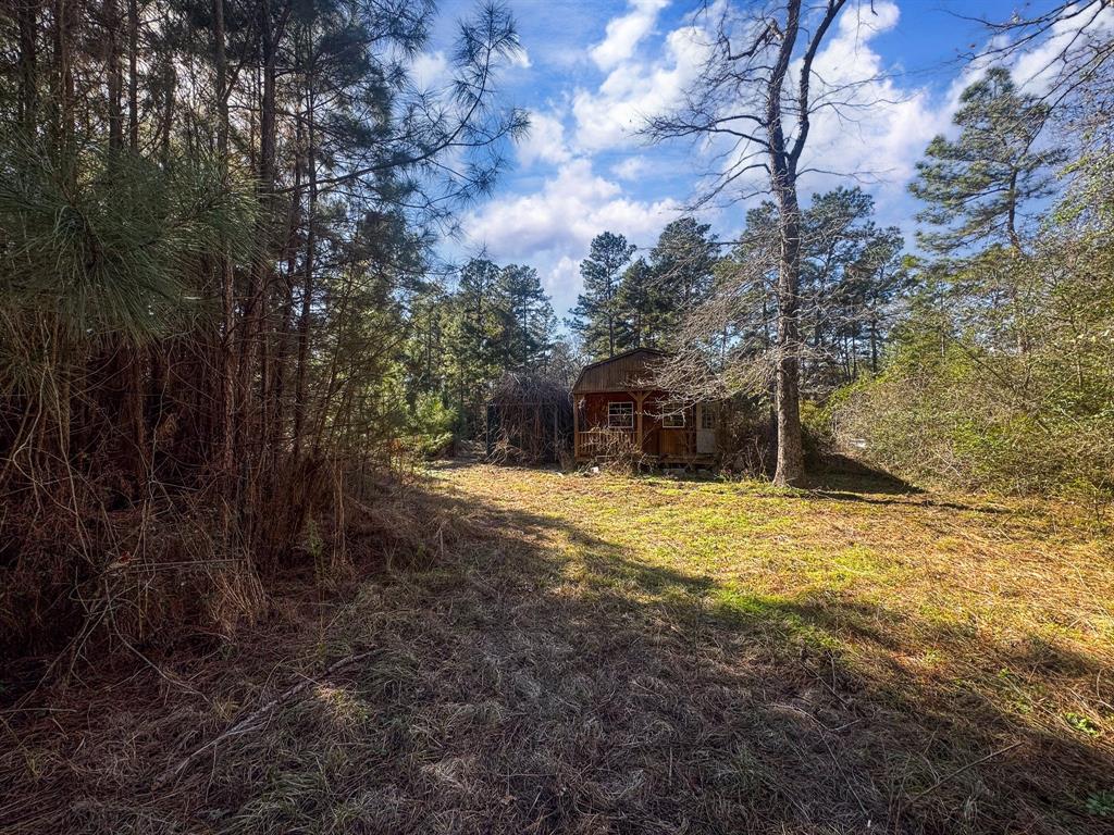 6713 Cr 302, Navasota, Texas image 19