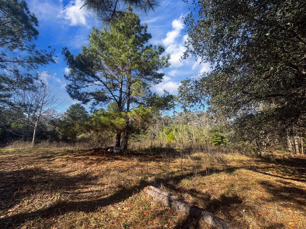 6713 Cr 302, Navasota, Texas image 8