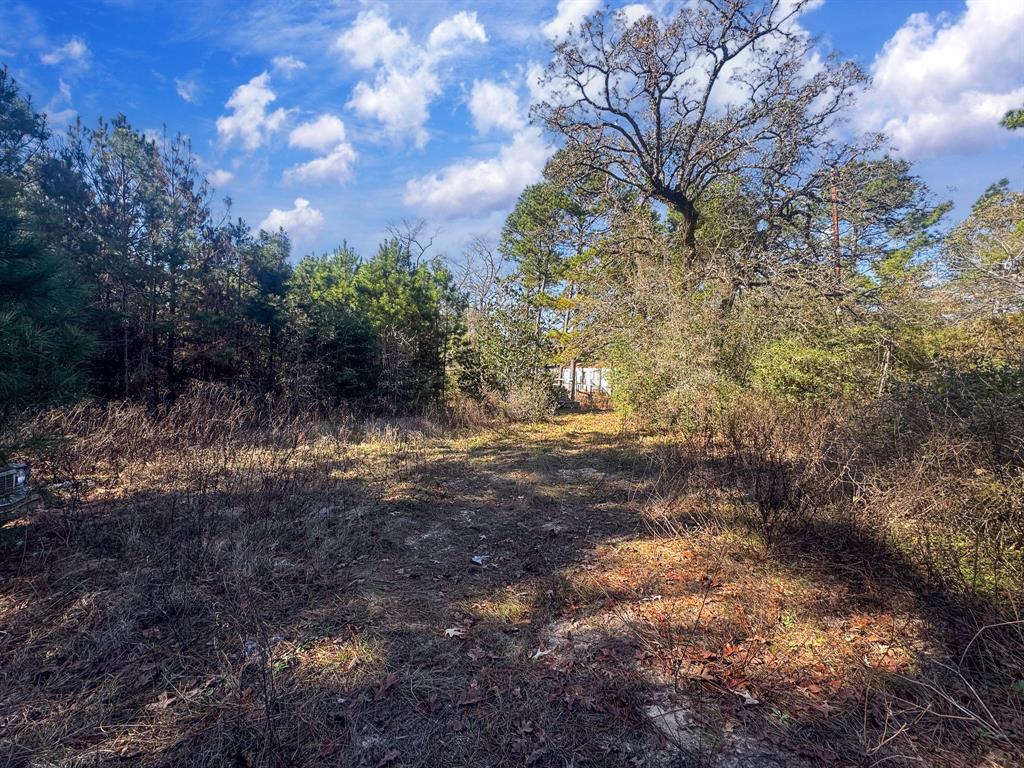 6713 Cr 302, Navasota, Texas image 15