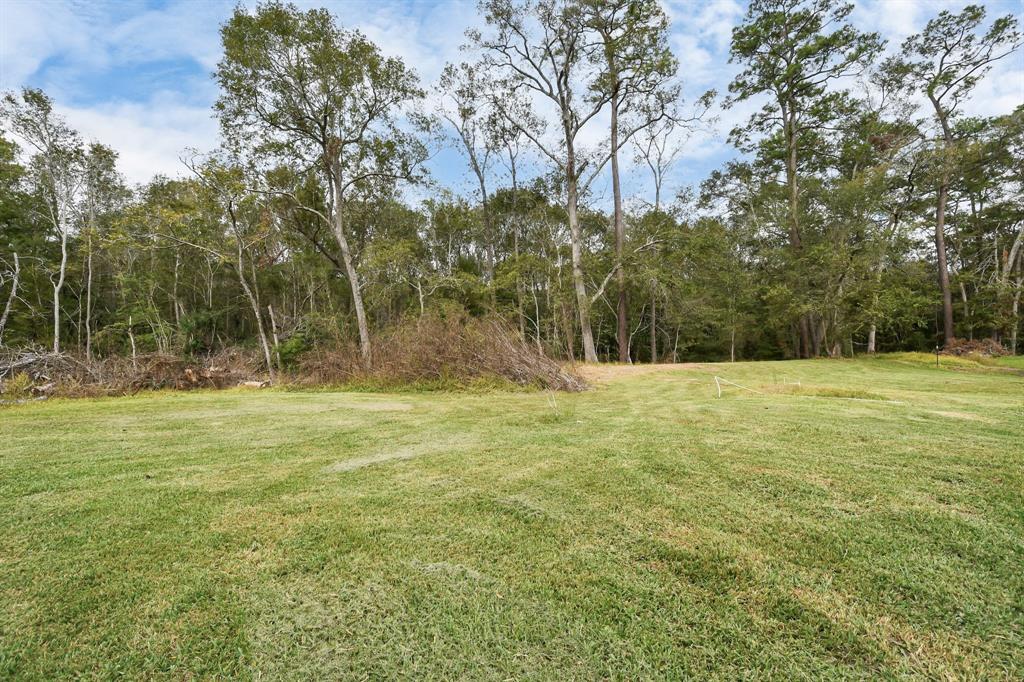 19306 Zetak Lane, Crosby, Texas image 24