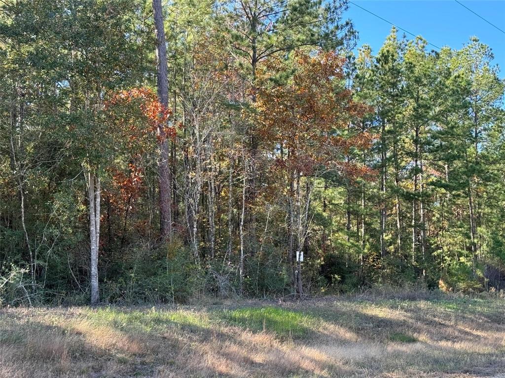 717 Lonestar Road