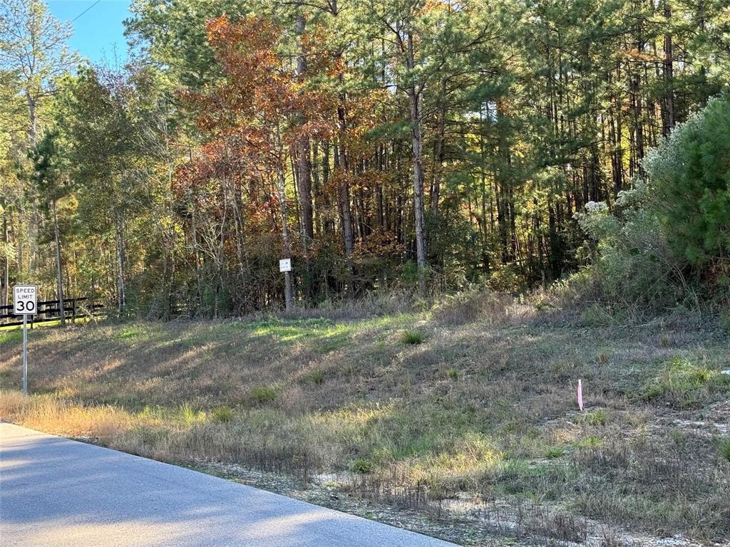 717 Lonestar Road