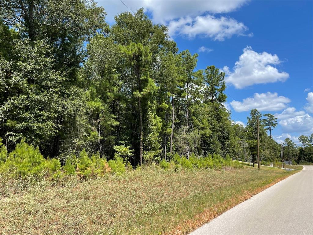 717 Lonestar Road, Huntsville, Texas image 11