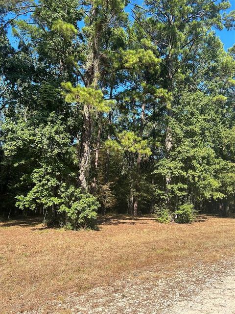 Vacant Land For Sale - 575859 Grand Pine Circle<br/> Livingston, TX 77351